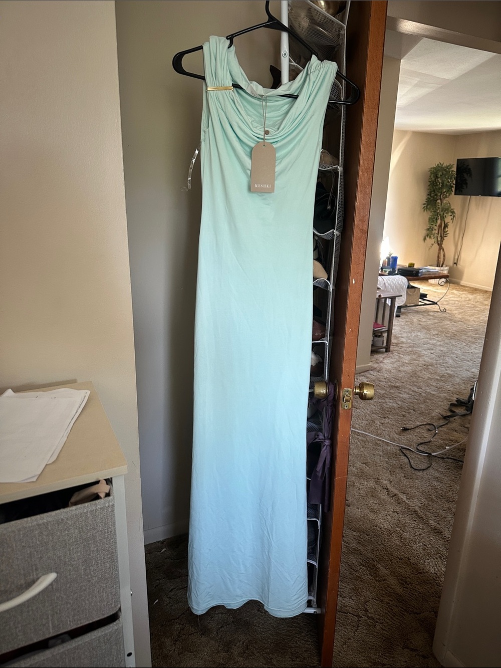 Meshki Mint Cowl Neck Maxi Dress